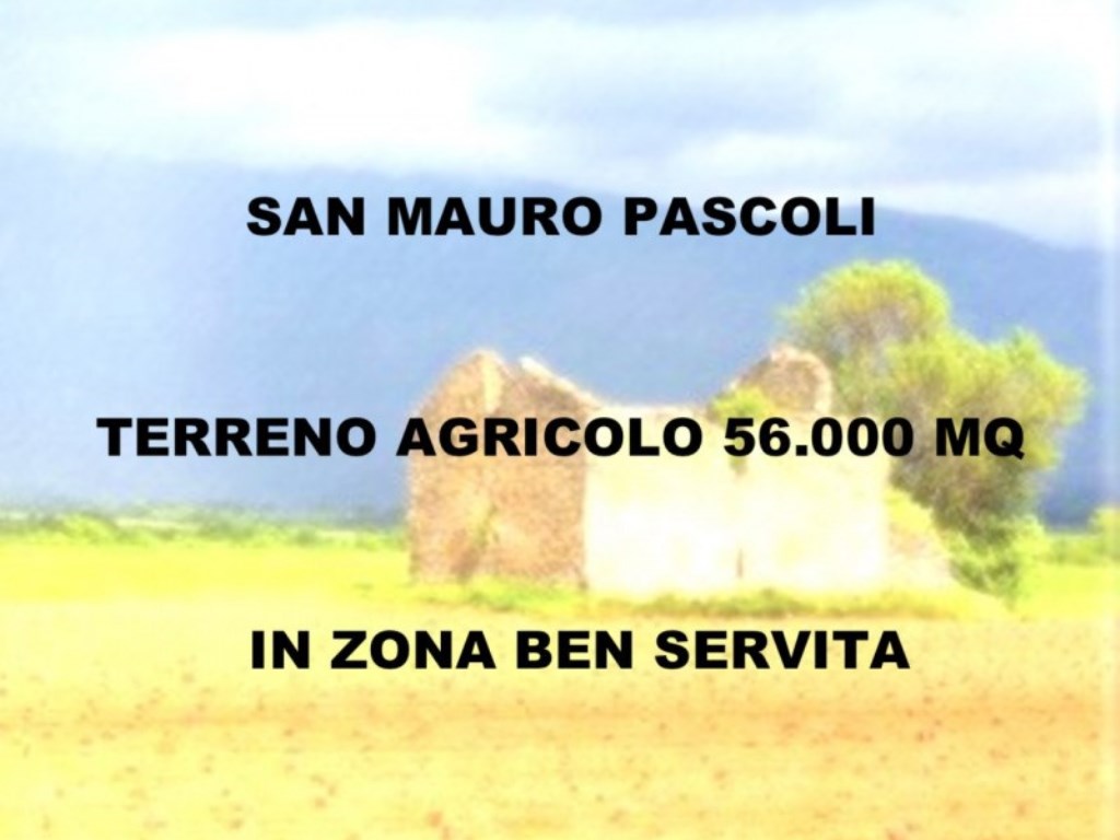 Terreno Agricolo in vendita a San Mauro Pascoli san mauro pascoli