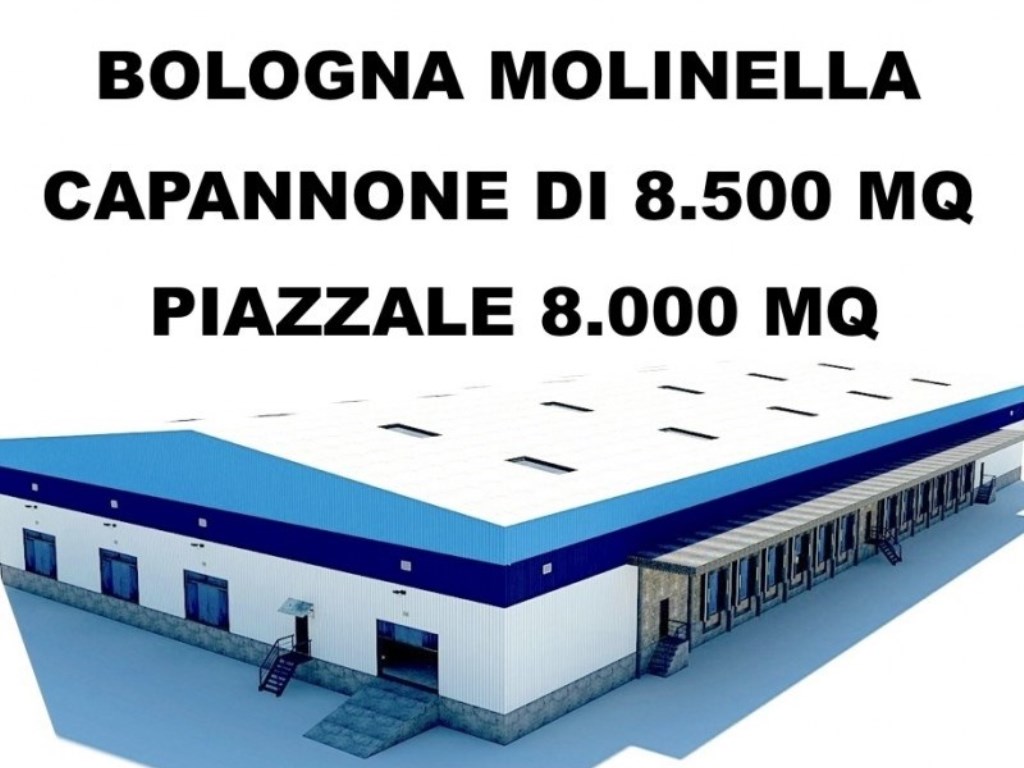 Capannone Industriale in vendita a Molinella via anna frank