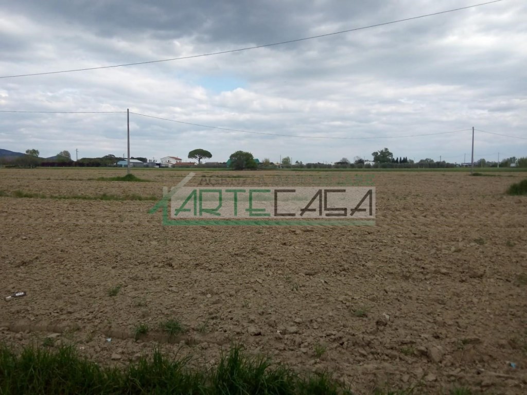 Terreno Agricolo in vendita a Cascina cascina pi