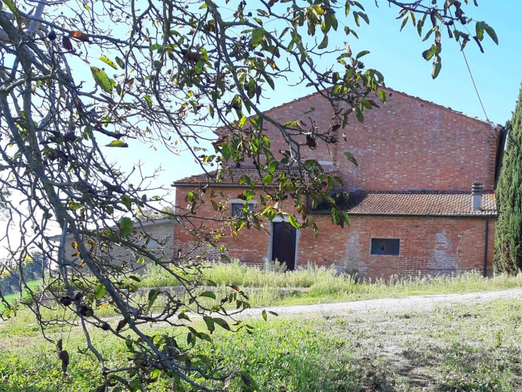 Azienda Agricola in vendita a Montepulciano