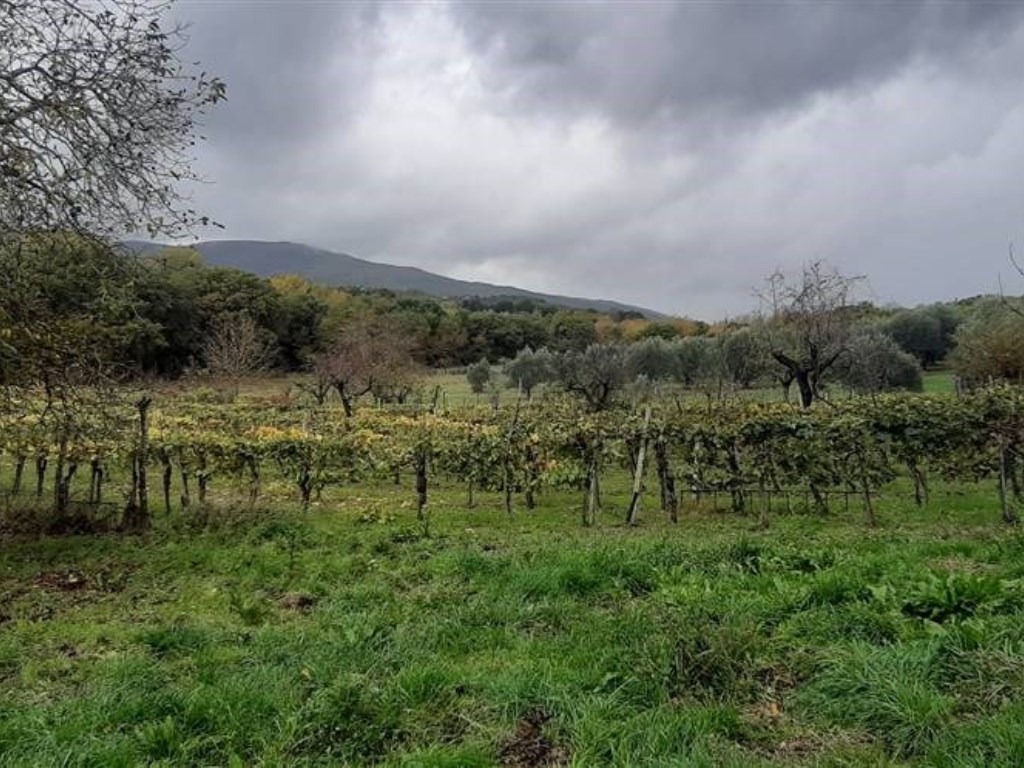 Terreno Agricolo in vendita a Chianciano Terme
