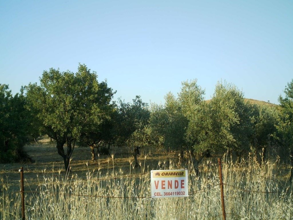 Oliveto in vendita a Villarosa contrada giurfo-viglio
