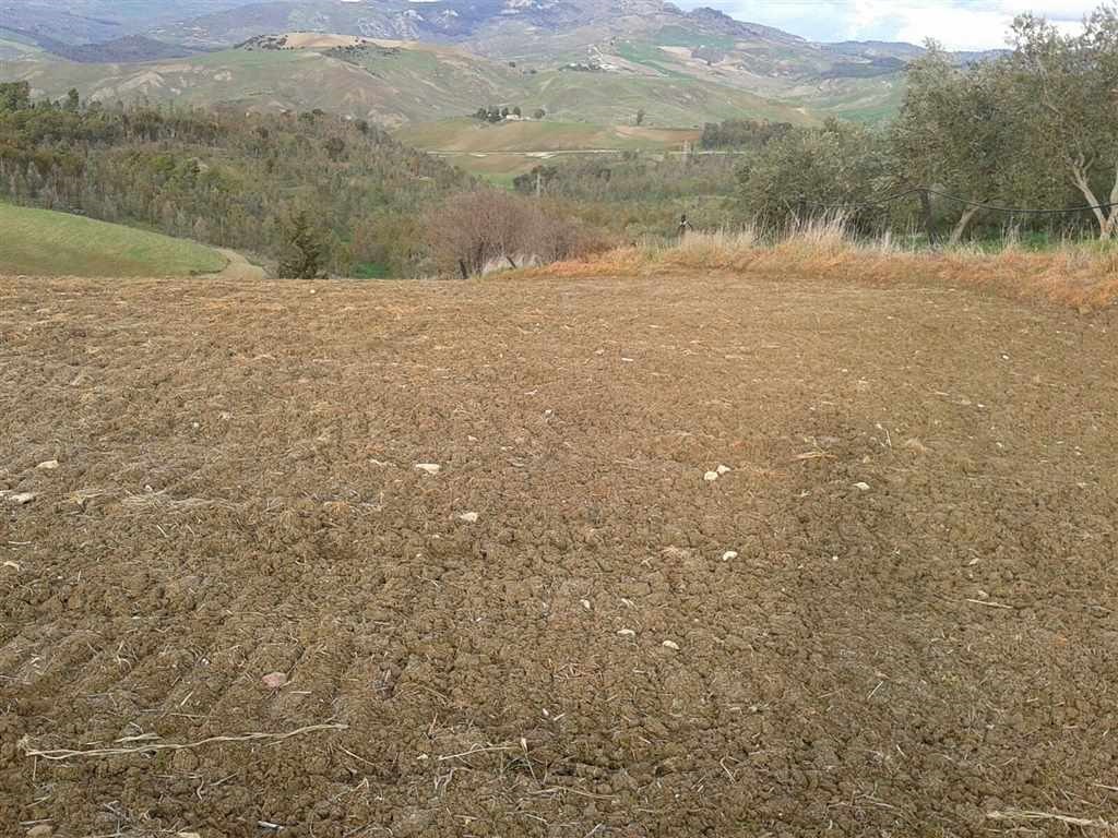 Terreno Agricolo in vendita a San Cataldo