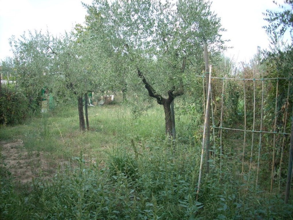 Terreno Agricolo in vendita a Quarrata via Piave