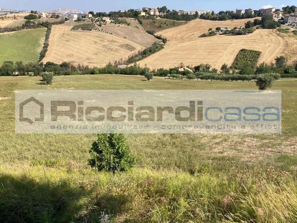 Terreno Agricolo in vendita a Monte Urano via Incancellata