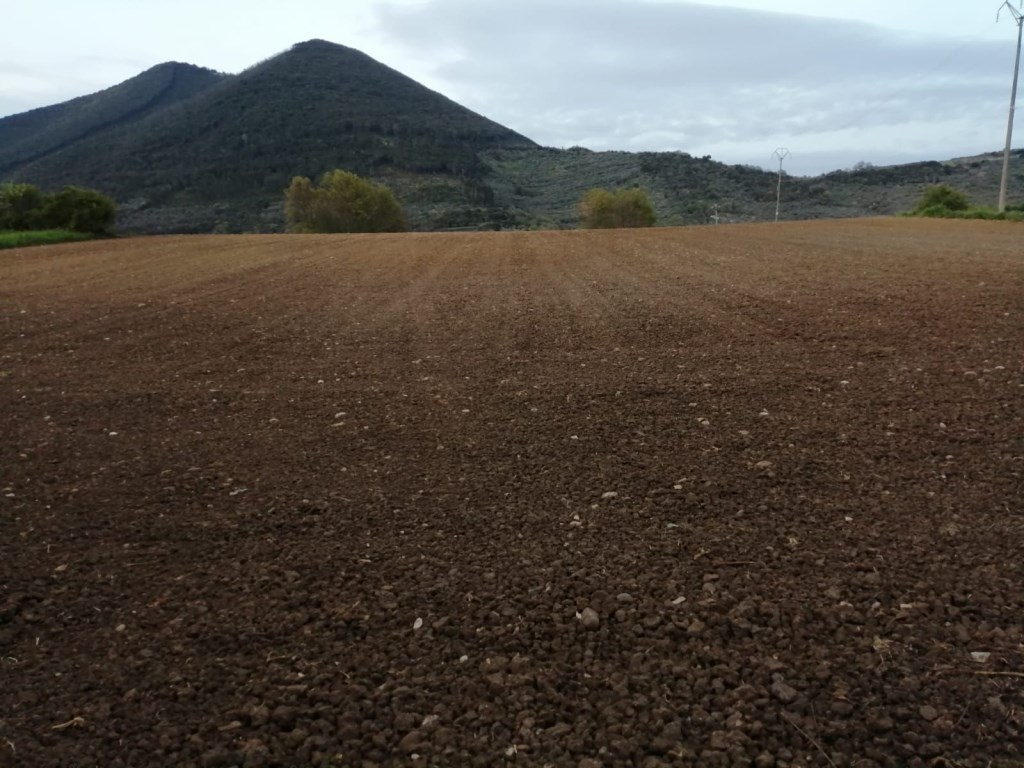Terreno Agricolo in vendita a San Salvatore Telesino