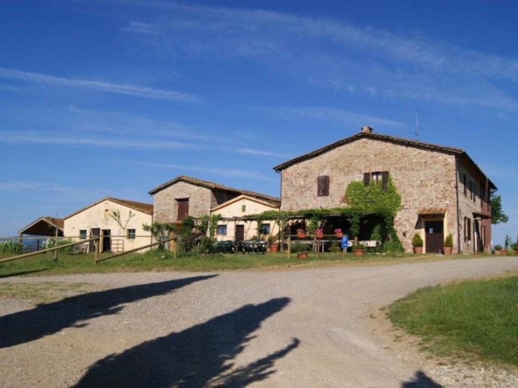 Azienda Agricola in vendita a Chiusdino