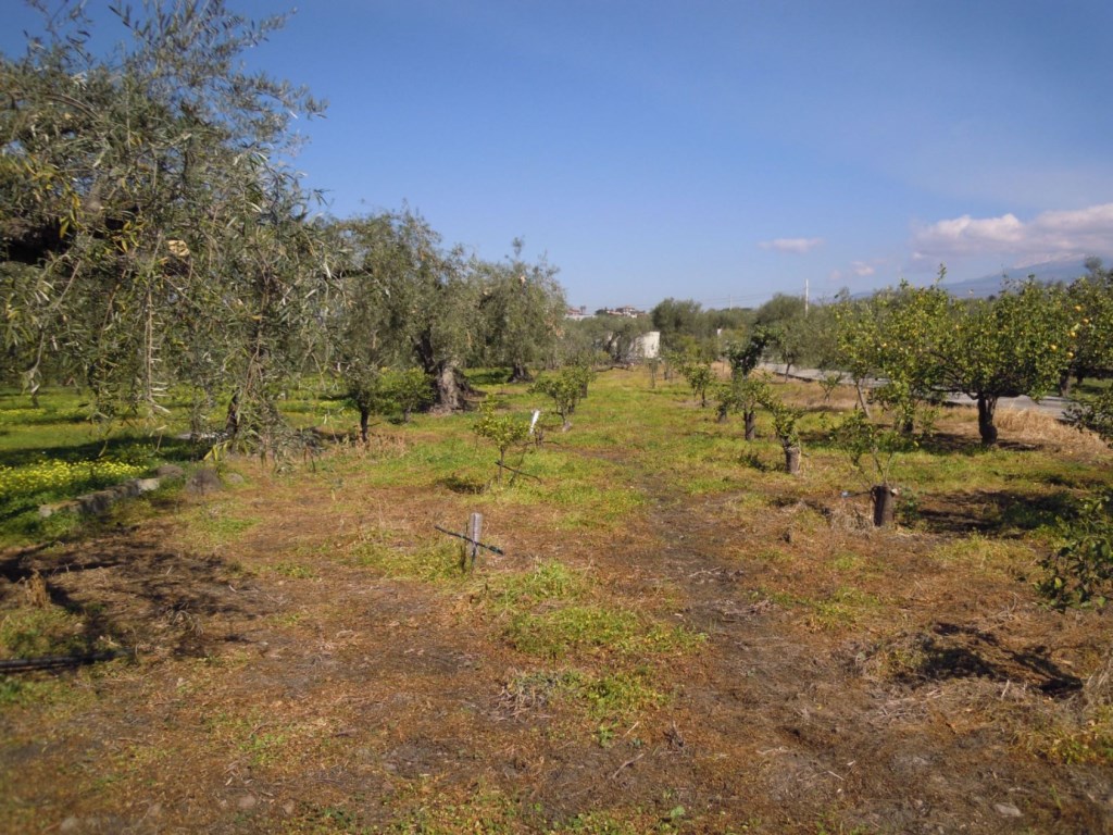 Terreno Agricolo in vendita a Belpasso zona etnapolis