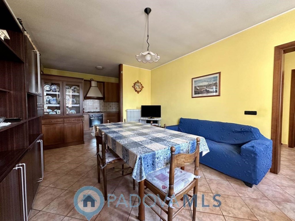 Villa a Schiera in vendita a Polverara via San Fidenzio