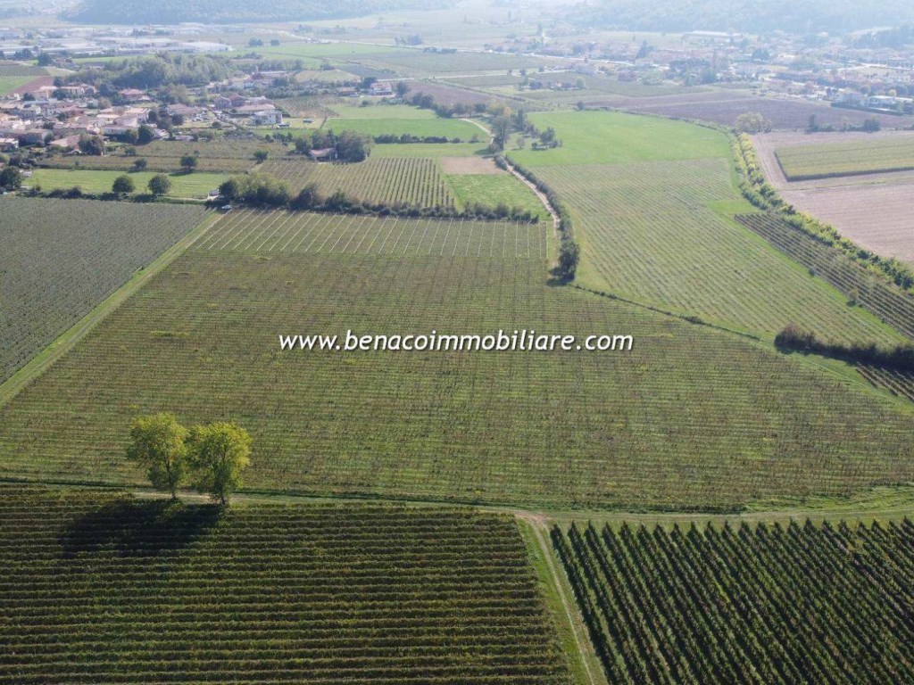 Terreno Agricolo in vendita a Rivoli Veronese loc. Gazzoli