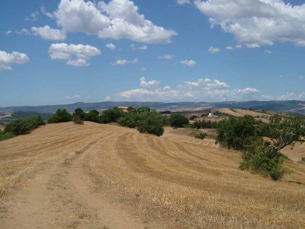 Terreno Agricolo in vendita a Manciano