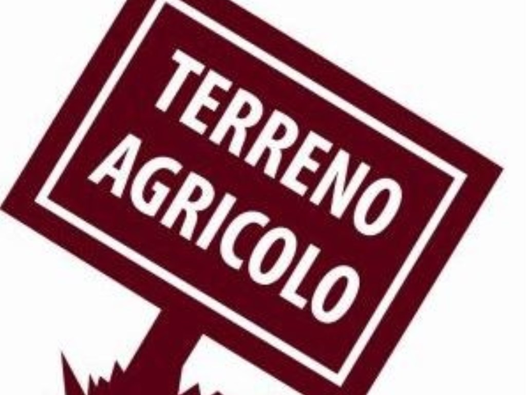 Terreno Agricolo in vendita ad Adria c.So g. Mazzini n. 7 .- Adria