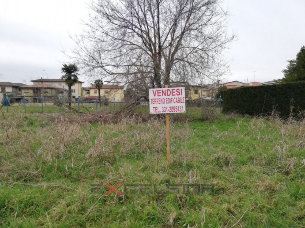 Terreno Residenziale in vendita a Cavarzere via g. Matteotti n. 20 - Cavarzere