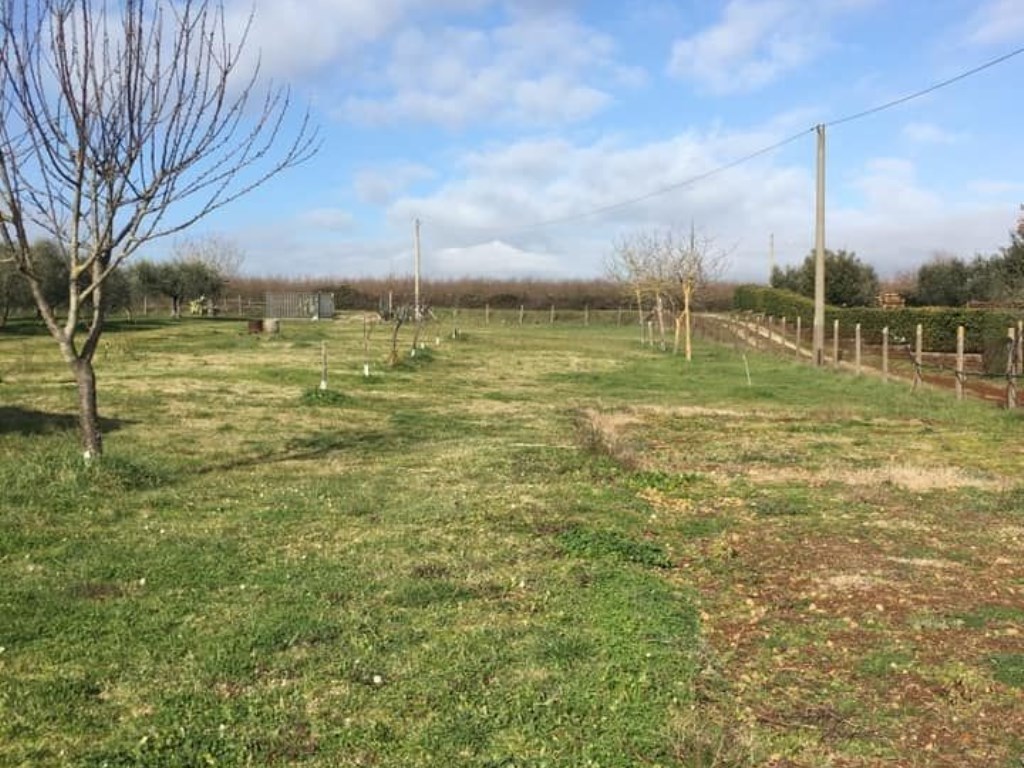 Terreno Agricolo in vendita a Civita Castellana via quartaccio
