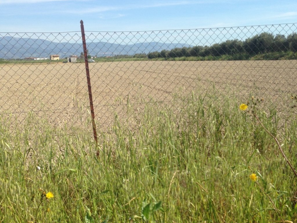 Terreno Agricolo in vendita a Cassano all'Ionio c.Da Cucciharara,
