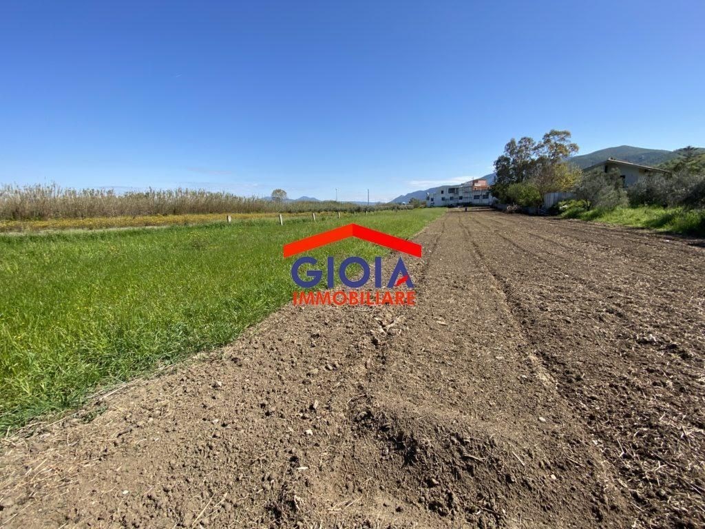 Terreno Agricolo in vendita a Sessa Aurunca ss7quater km 12, 300,