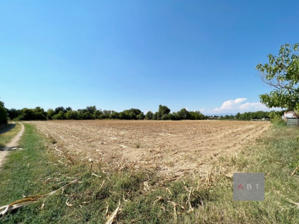 Terreno Agricolo in vendita a Campo San Martino