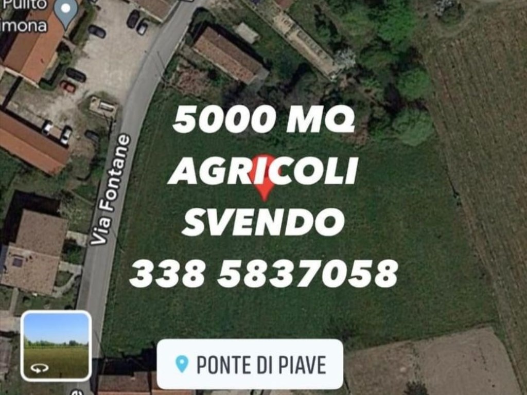 Azienda Agricola in vendita a Ponte di Piave