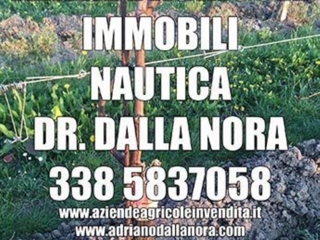 Azienda Agricola in vendita ad Annone Veneto