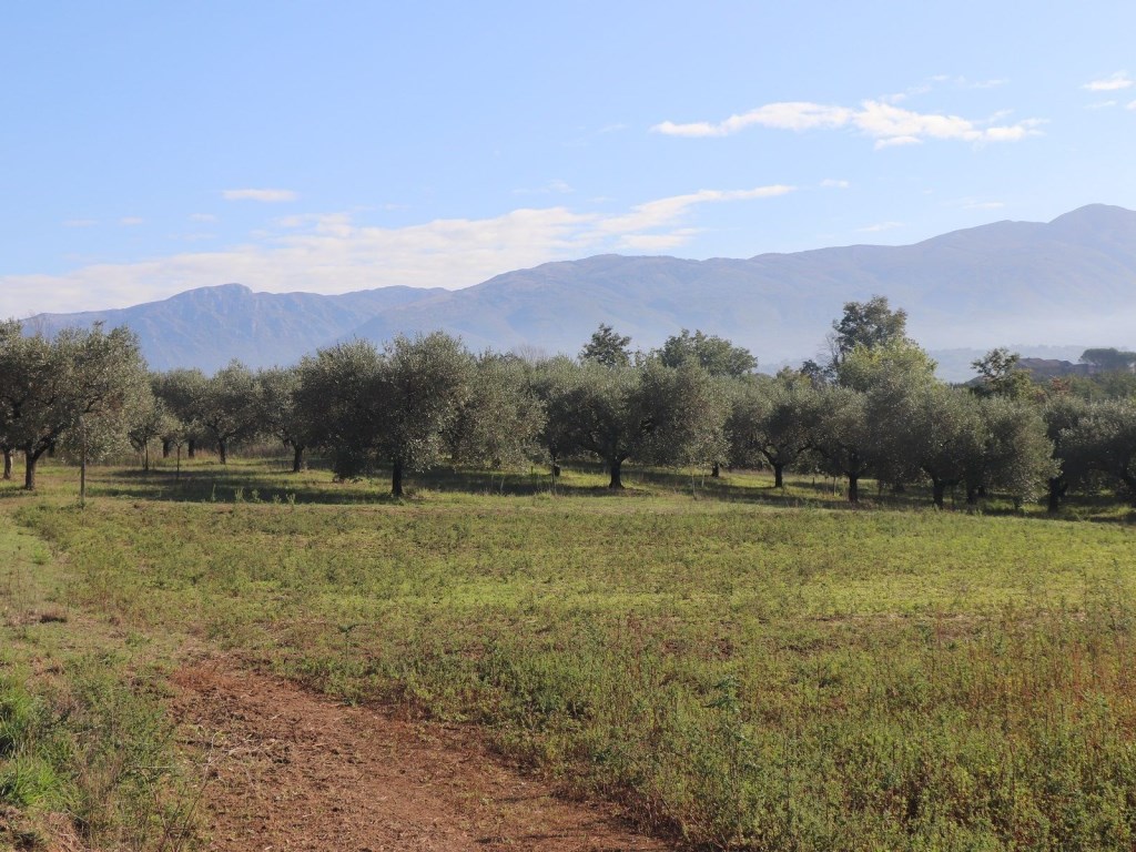Terreno Agricolo in vendita a Sant'Agata de' Goti