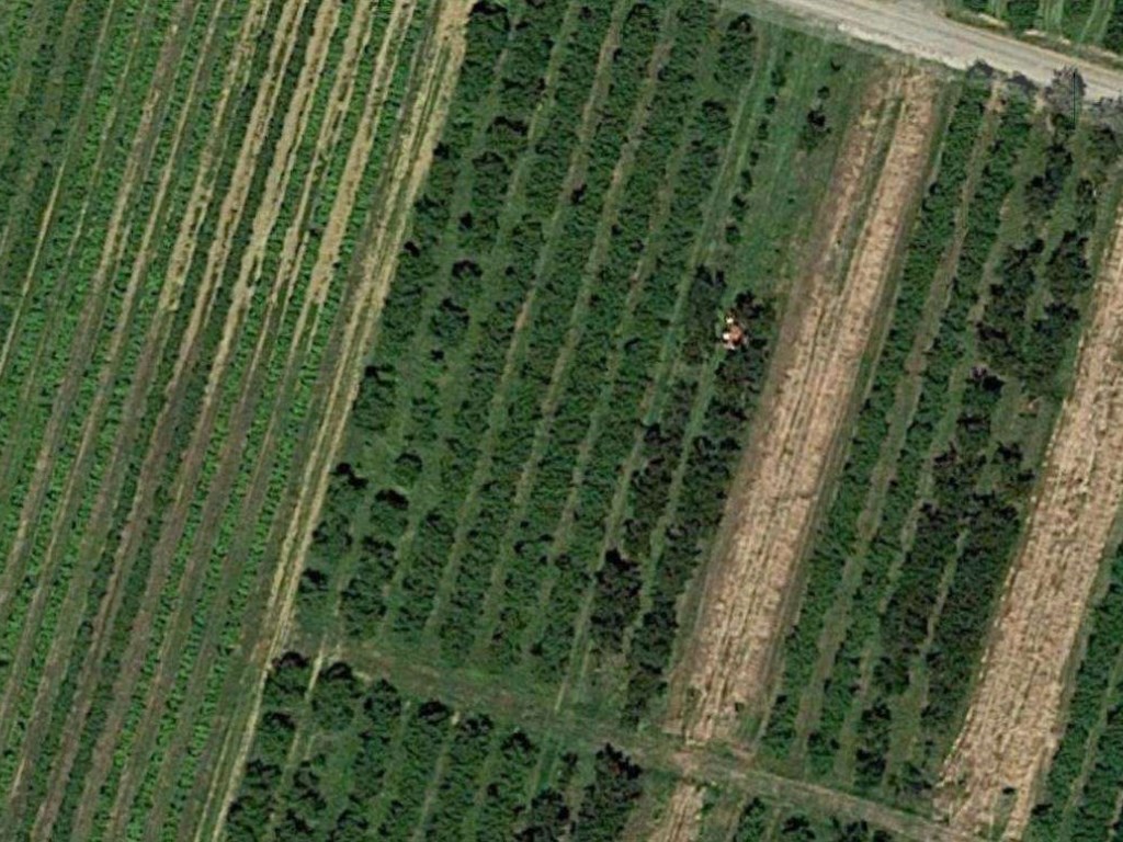 Terreno Agricolo in vendita a Vignola