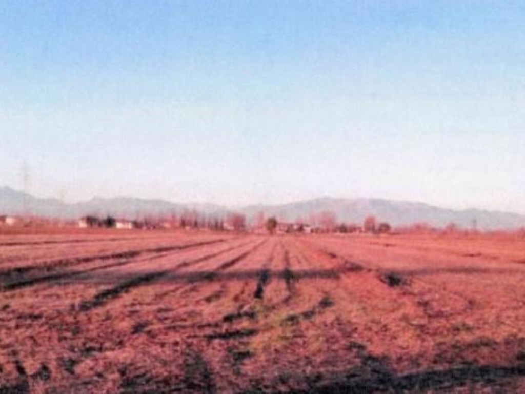 Terreno Agricolo in vendita a Vedelago via Postumia