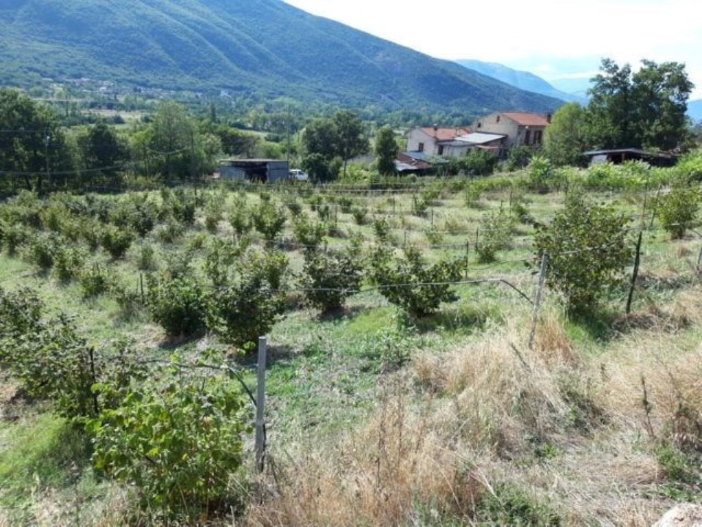 Terreno Residenziale in vendita a Pettorano sul Gizio