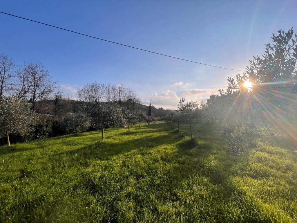 Terreno Agricolo in vendita a Casciana Terme Lari
