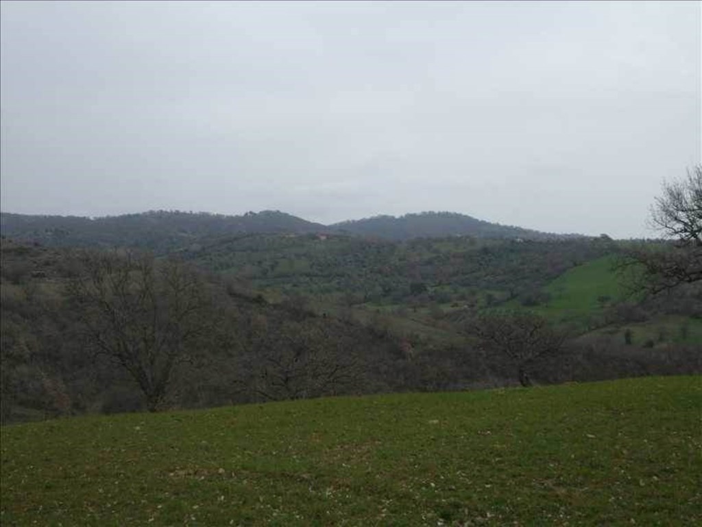 Terreno Edificabile in vendita a Magliano in Toscana