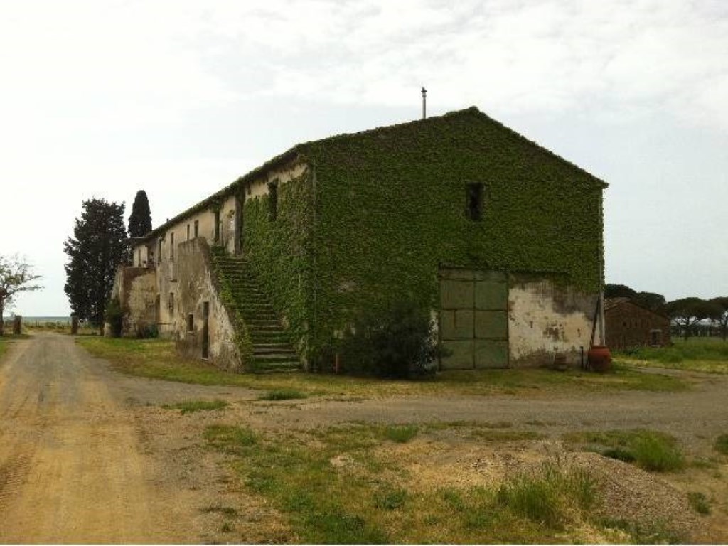 Azienda Agricola in vendita a Castiglione della Pescaia