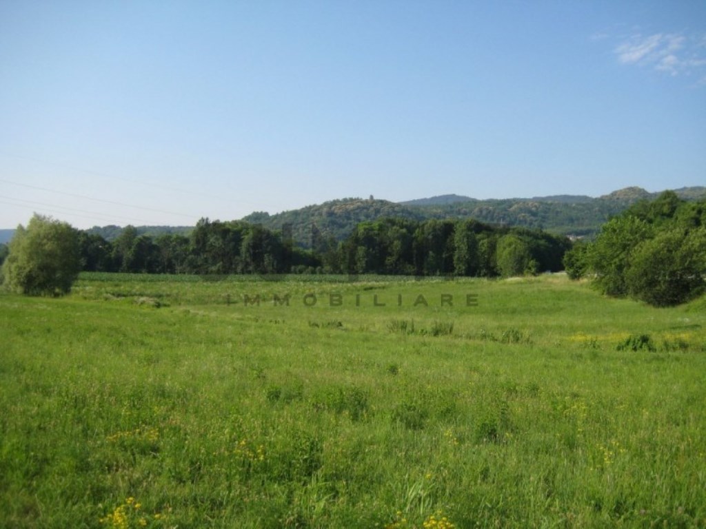 Terreno Agricolo in vendita a San Vito di Leguzzano san Vito di Leguzzano