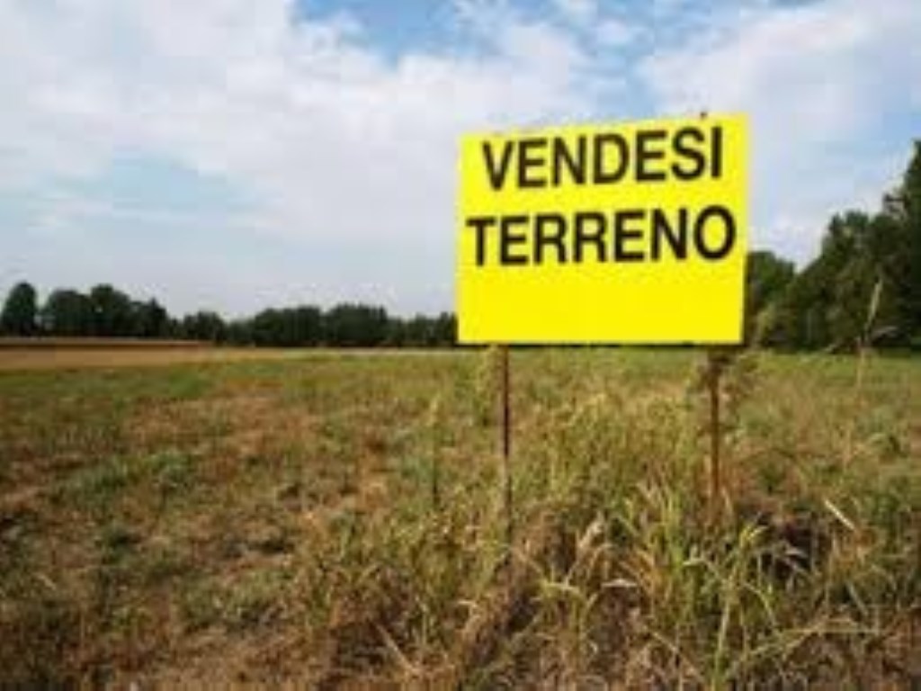 Terreno Agricolo in vendita a Sant'Angelo di Piove di Sacco