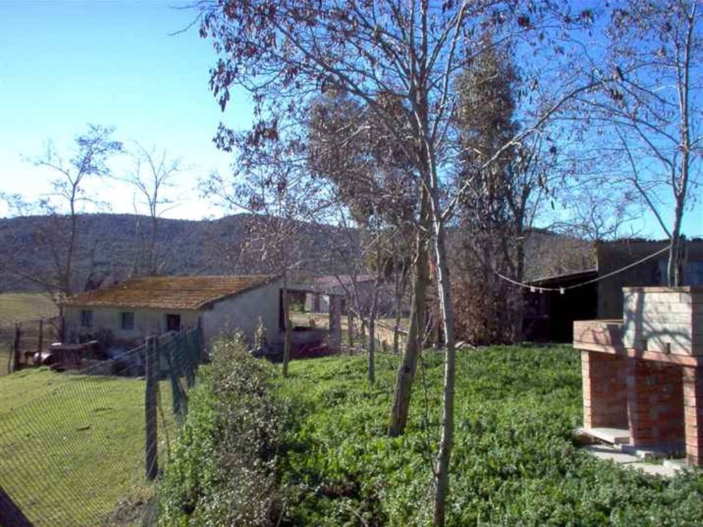 Azienda Agricola in vendita a Magliano in Toscana zona magliano in toscana