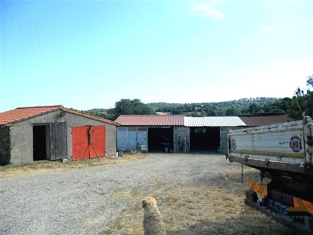 Azienda Agricola in vendita a Scansano scansano 5 km dal paese