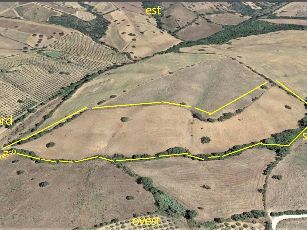 Terreno Agricolo in vendita a Grosseto poggio la Mozza Zona Viticola Morellino di Scansano