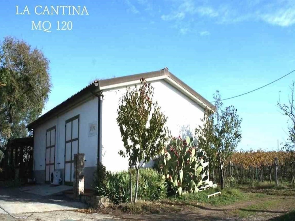 Azienda Agricola in vendita a Roccastrada zona montemassi zona ribolla