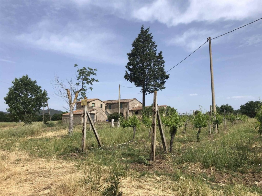Azienda Agricola in vendita a Civitella Paganico