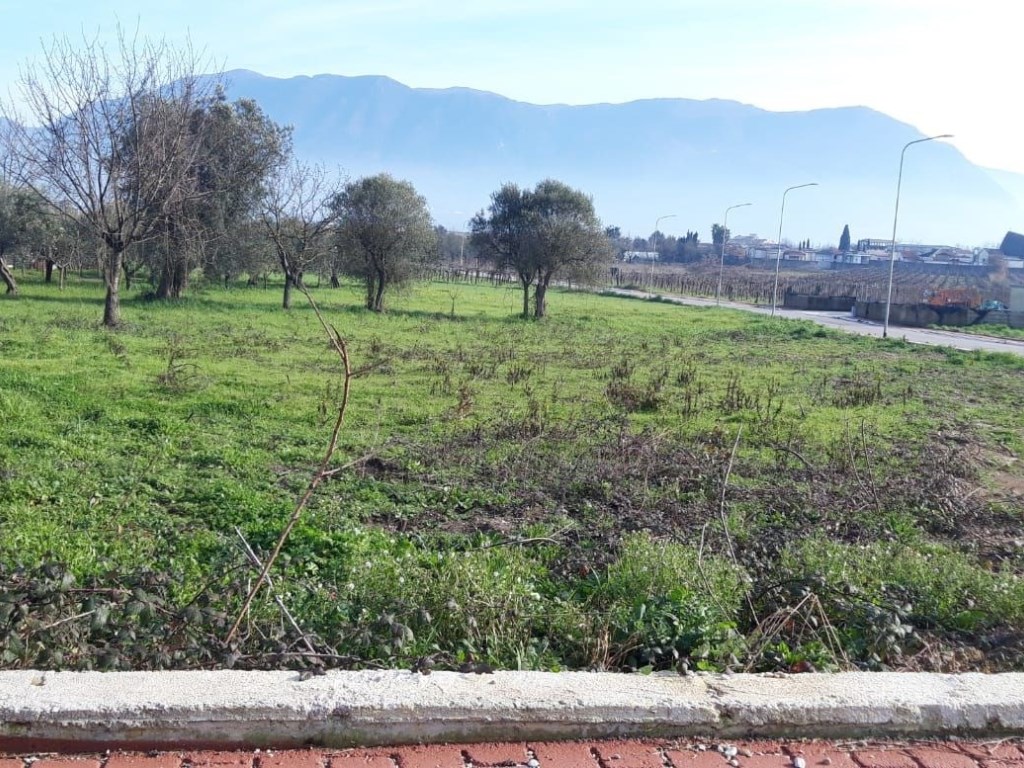 Terreno Industriale in vendita a San Salvatore Telesino