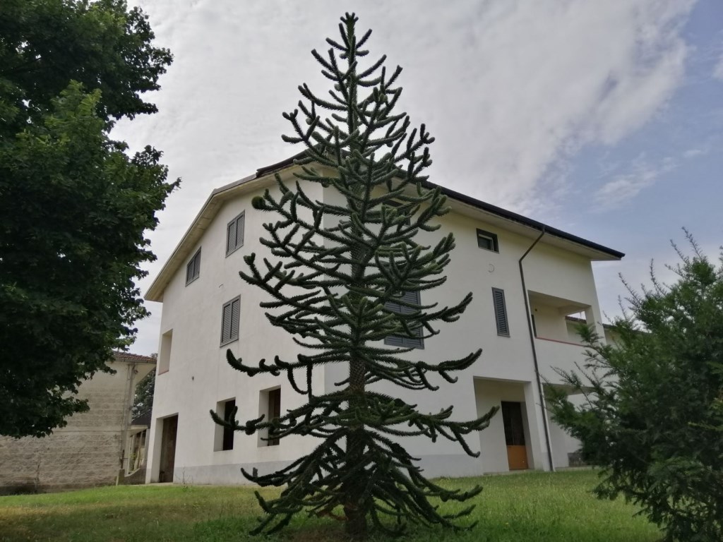 Casa Indipendente in vendita a Faicchio via Cese