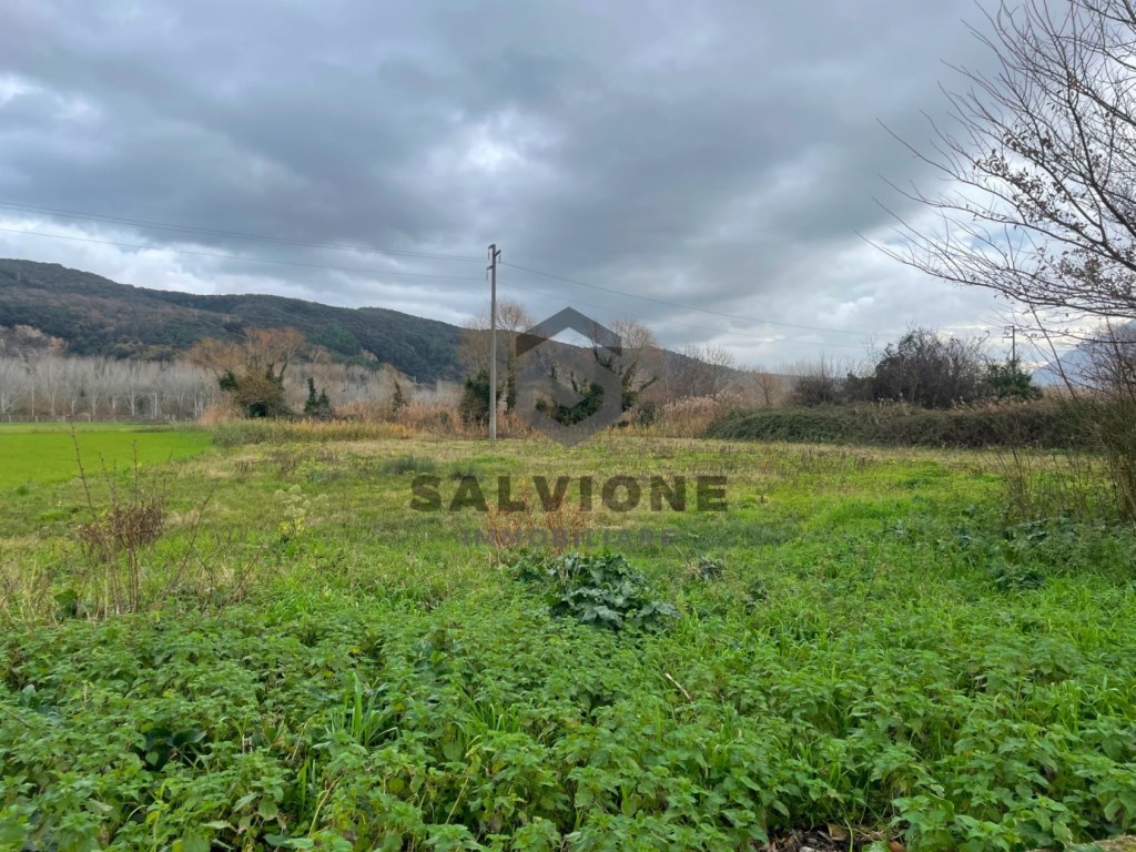 Terreno Agricolo in vendita a San Salvatore Telesino via Grassano