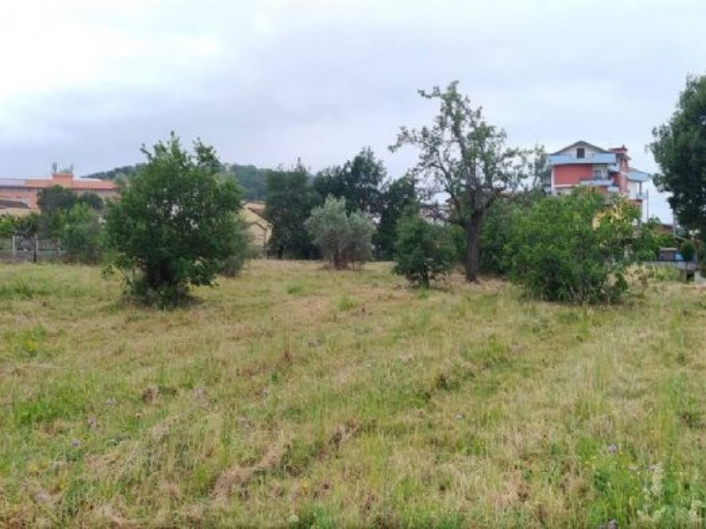 Terreno Edificabile in vendita a Montalto Uffugo