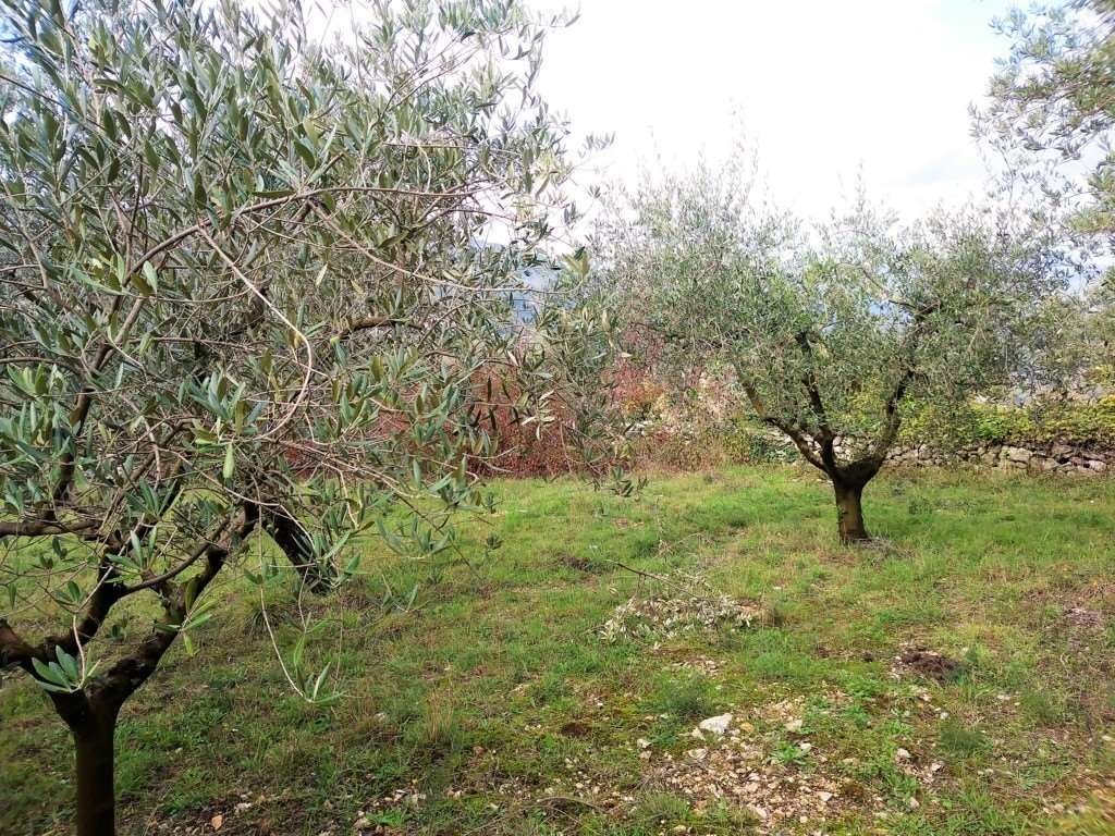 Terreno Agricolo in vendita a Monte San Giovanni Campano
