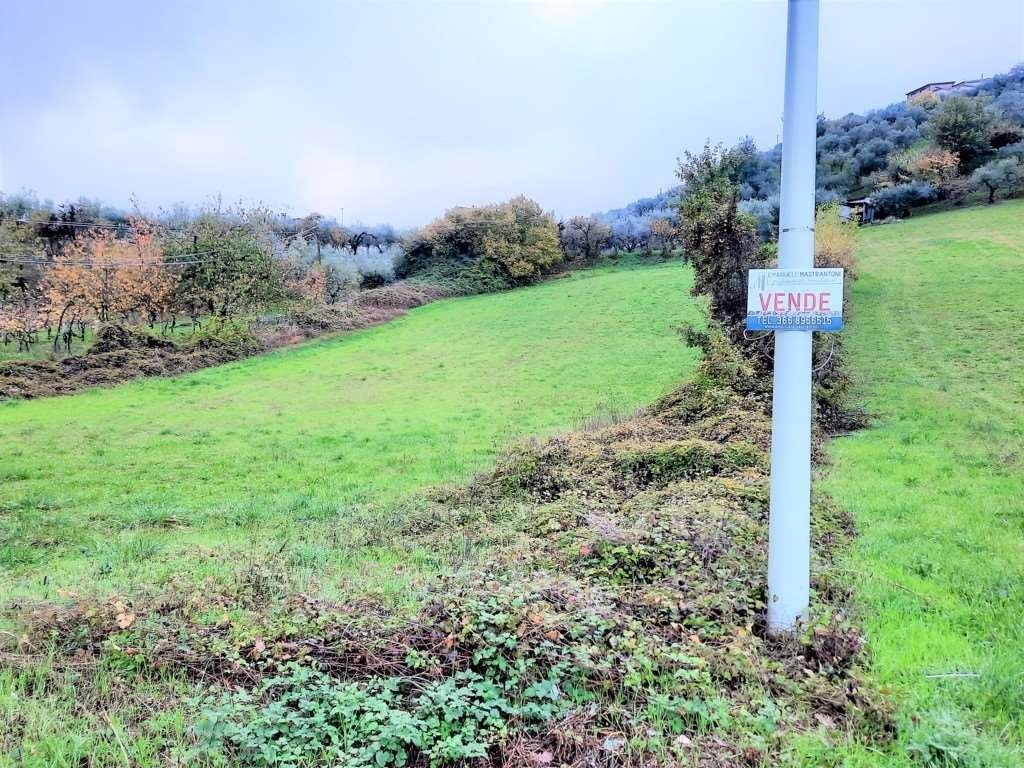 Terreno Edificabile in vendita a Monte San Giovanni Campano