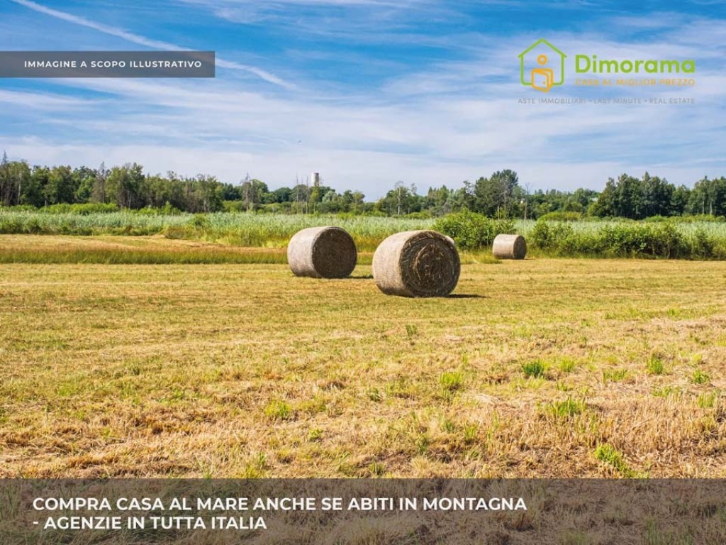 Terreno Agricolo in vendita a Cascina via san donato snc
