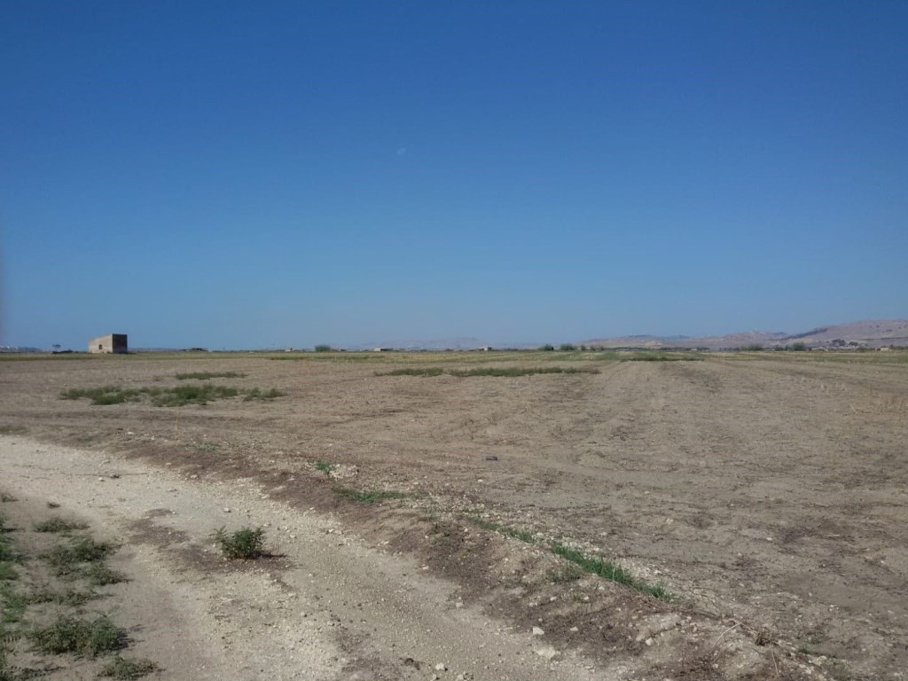 Terreno Agricolo in vendita a Gela c.Da Tenna