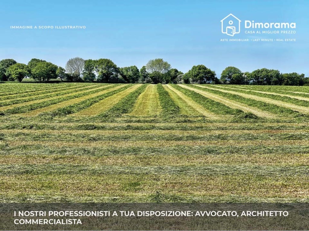 Terreno Agricolo in vendita a Rosciano frazione Villa Badessa