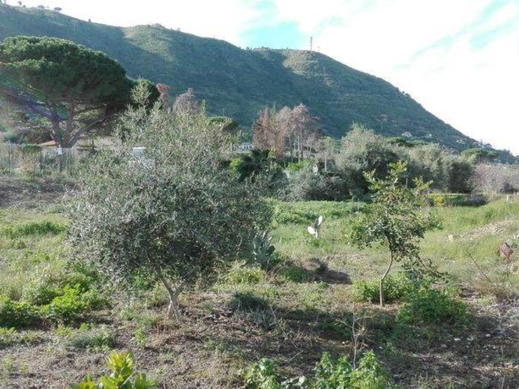 Terreno Agricolo in affitto a Cefalù