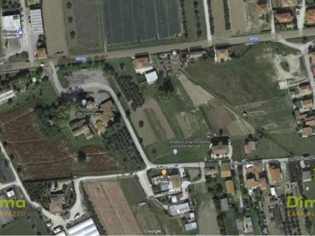 Terreno Agricolo in vendita a Notaresco via ss 150- Guardia Vomano