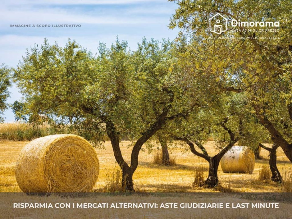 Terreno Agricolo in vendita a Montefino contrada Case Sparse