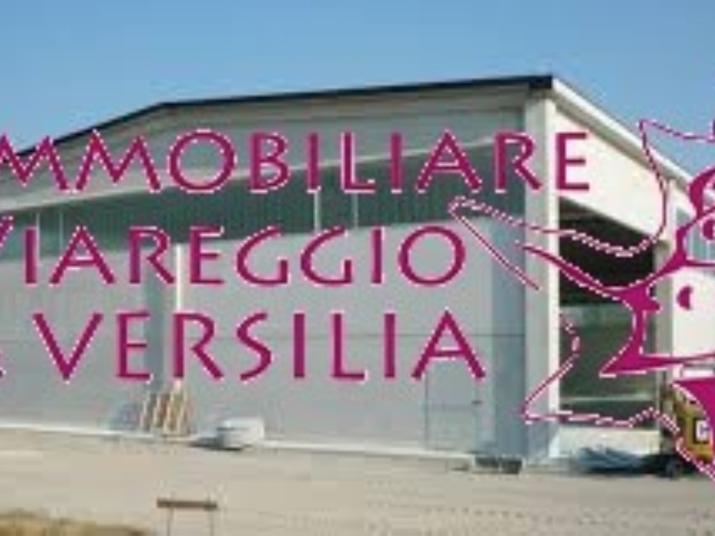Capannone Industriale in vendita a Viareggio